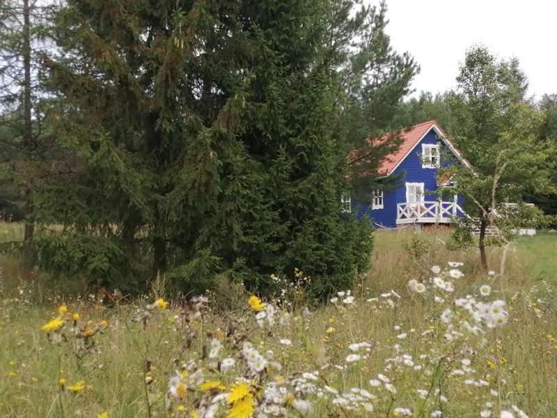 Święty Spokój Łąka i Woda Pozezdrze Exterior foto