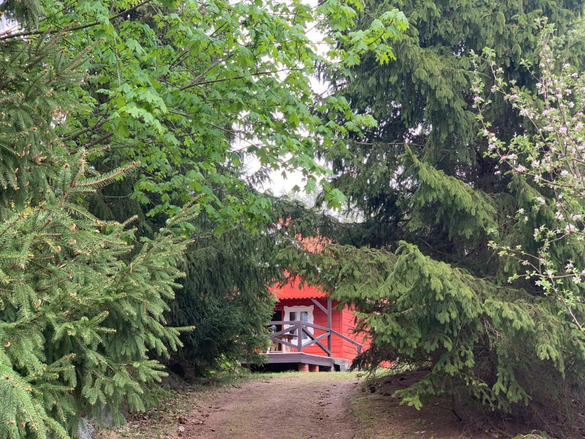 Święty Spokój Łąka i Woda Pozezdrze Exterior foto